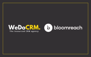 Bloomreach Partner