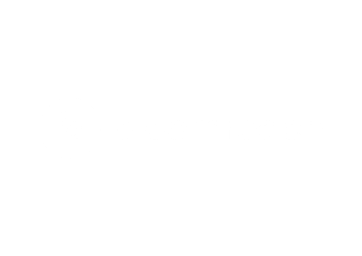 Bloomreach logo white